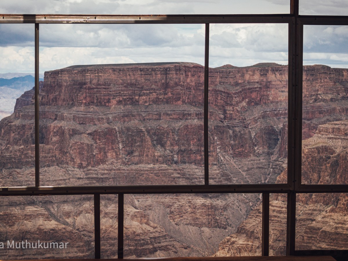 Imperialistic Common Grounds: Eco-Colonization